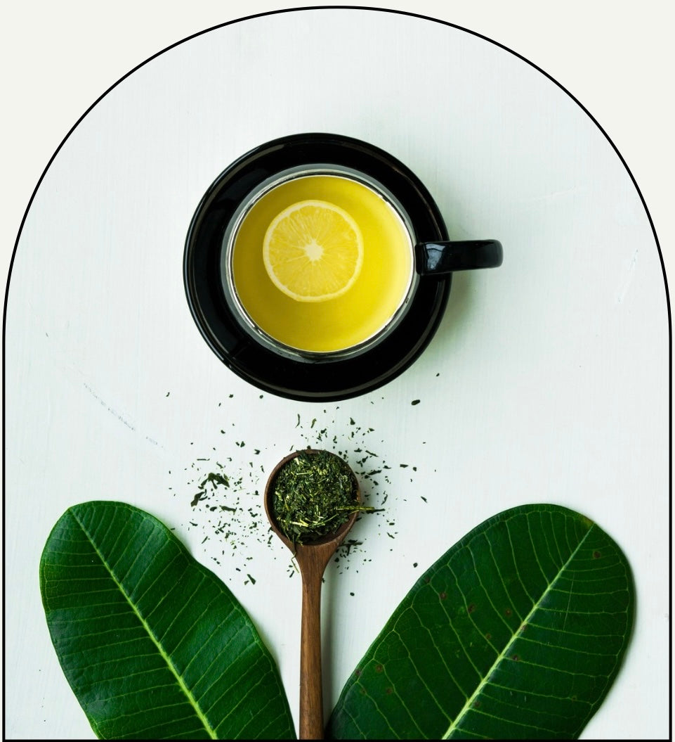 Lemongrass Luxe - Chateau Essence