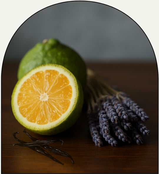 Indigo Luxury Fragrance Oil – Vanilla Lavender Bergamot Blend by Chateau Essence