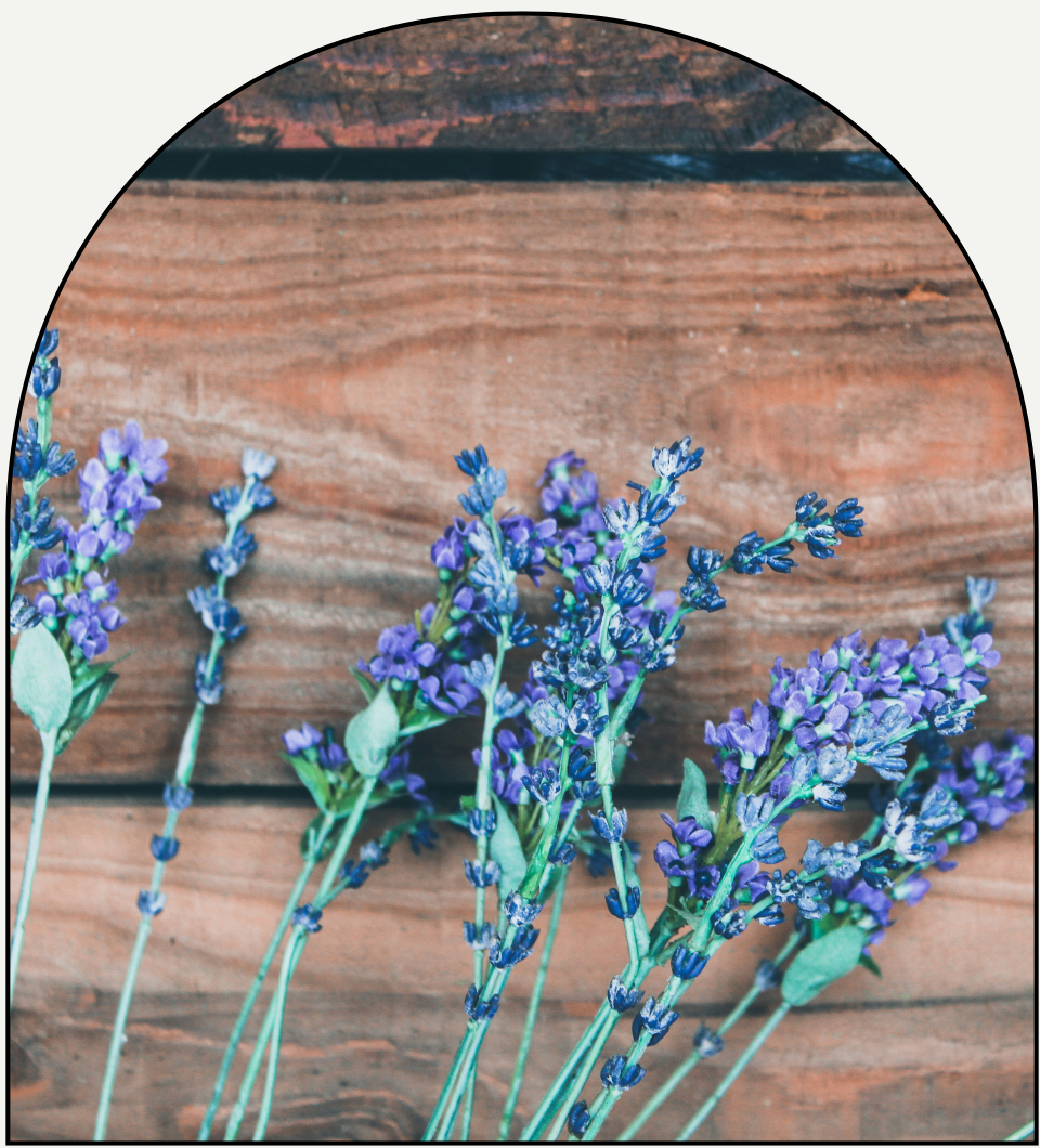 Lavender Luxe - Chateau Essence