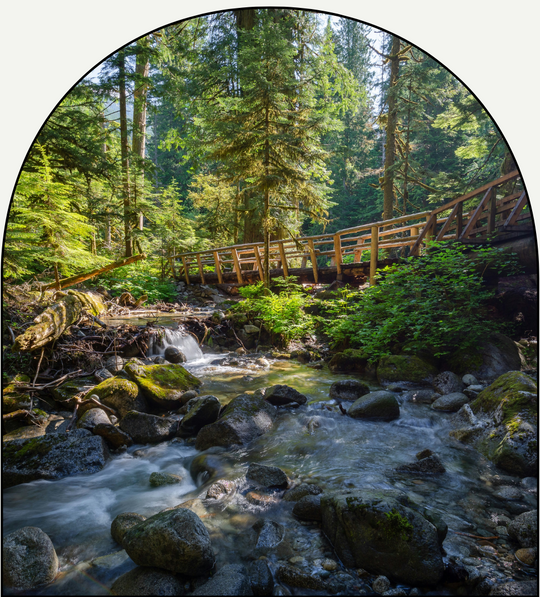 Santal Luxe luxury fragrance oil by Chateau Essence – cardamom, sandalwood, and musk blend with a sensual, warm allure