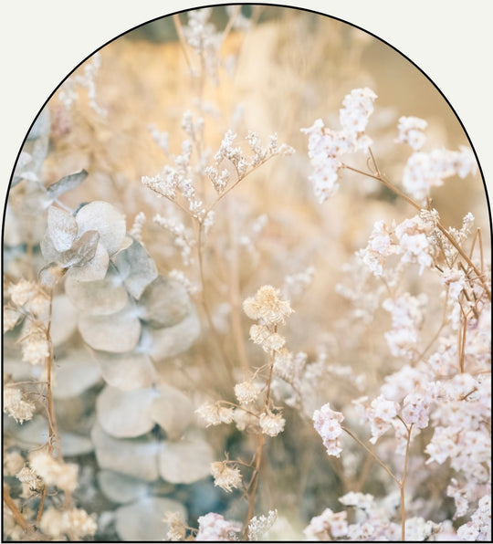 Serenity Grove luxury fragrance oil by Chateau Essence – calming basil, eucalyptus, and lavender aroma for relaxation