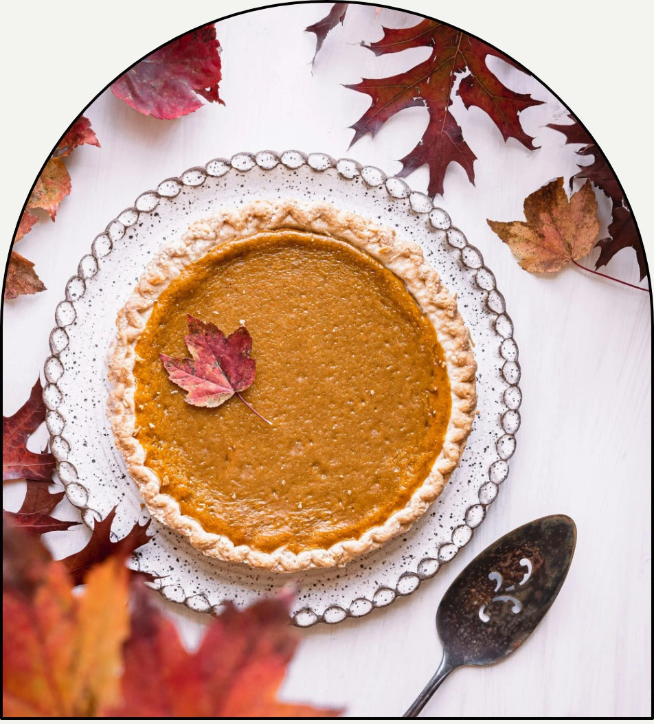 Pumpkin Pie luxury fragrance oil by Chateau Essence – warm pumpkin, nutmeg, and buttery pie crust aroma inspired by a freshly baked autumn pie